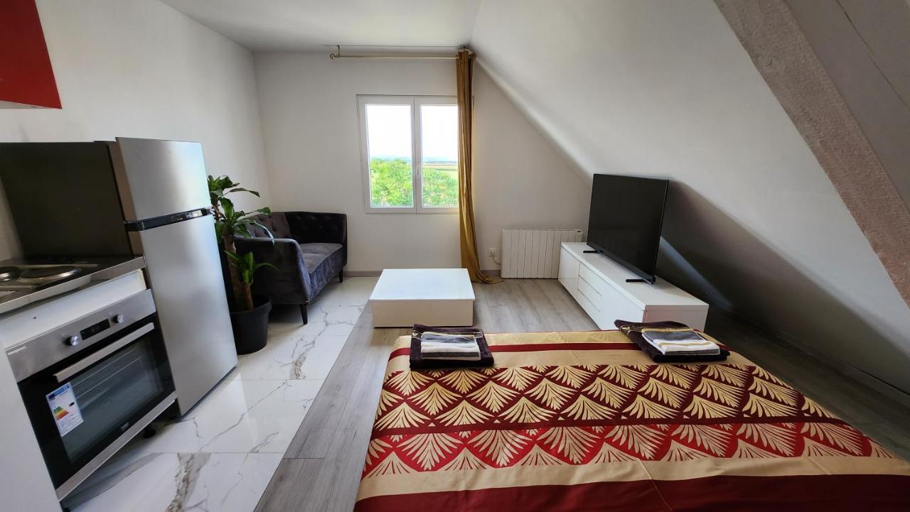 Appartement Vue Panoramique Sur La Plaine D'Alsace Andolsheim Εξωτερικό φωτογραφία